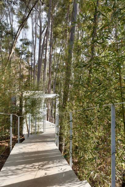 A entrada para o Refúgio. A entrada para o Refúgio.