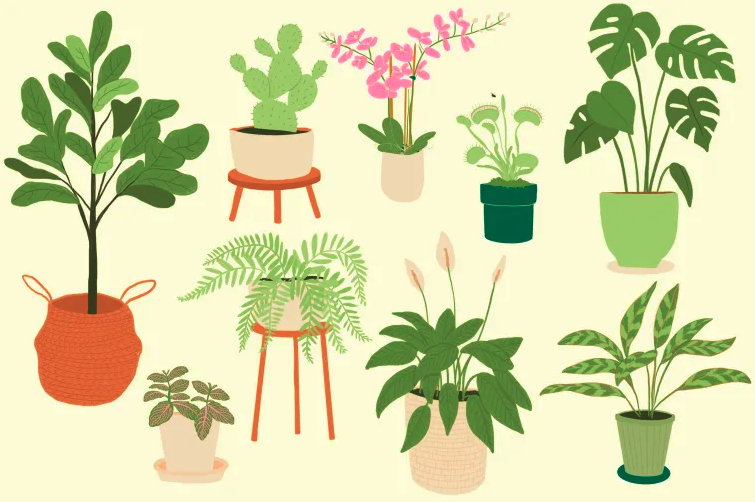 1-descubra-qual-e-a-melhor-planta-para-cada-tipo-de-eneagrama