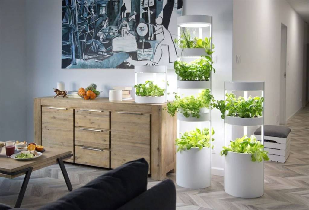 2-horta-modular-verdeat 2-horta-modular-verdeat
