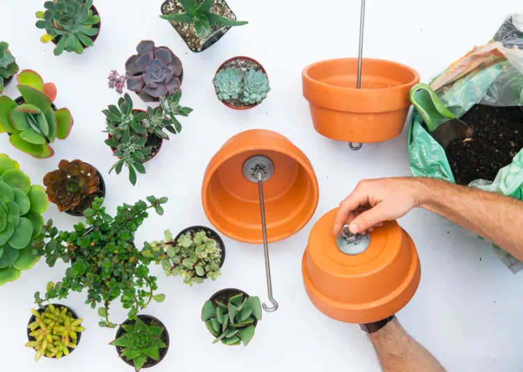2-kit-ajuda-a-transformar-suas-plantas-em-um-lindo-jardim-vertical