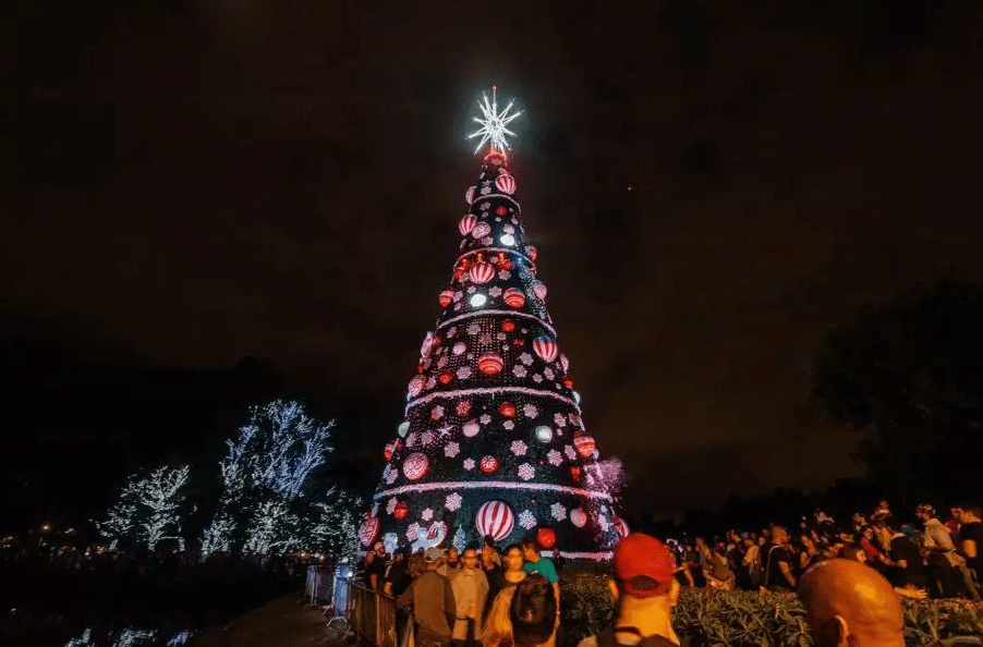 arvore-de-natal-parque-ibirapuera