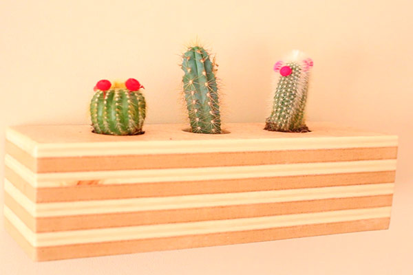 Faça você mesmo um vaso de madeira lindo, barato e simples!