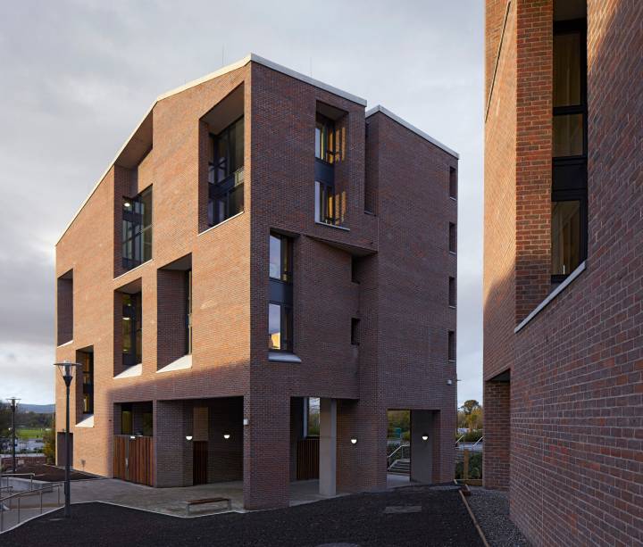 University of Limerick Medical School.