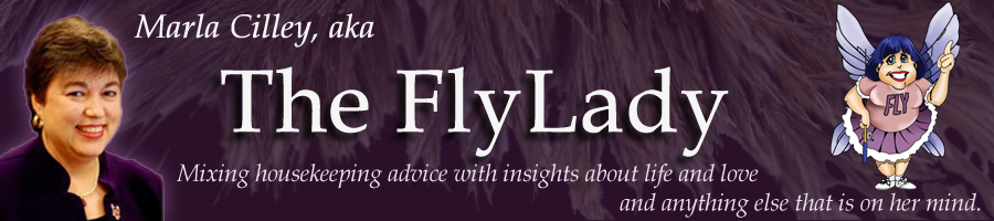 flylady-02 flylady-02
