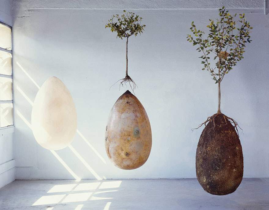 biodegradable-burial- biodegradable-burial-