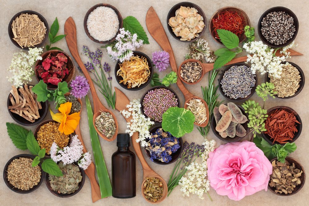 1-horta-medicinal 1-horta-medicinal