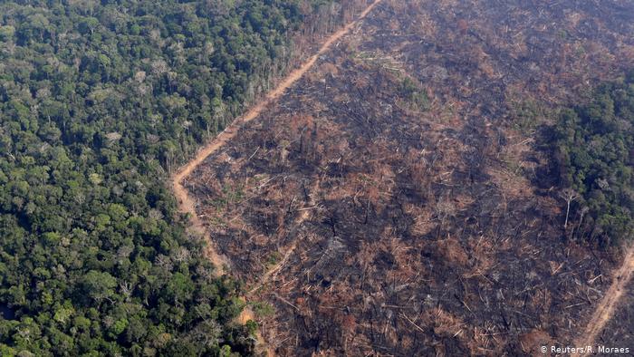 desmatamento-amazonia desmatamento-amazonia