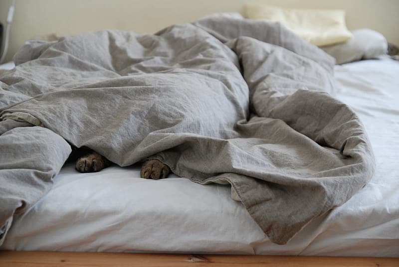 gray-comforter-on-bed gray-comforter-on-bed