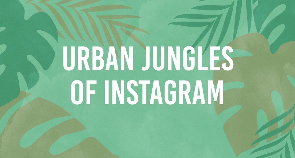 Header_Urban-Jungles-951×512 Header_Urban-Jungles-951×512