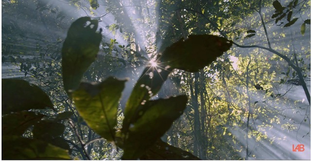 Documentário reflete sobre a natureza e o ser humano