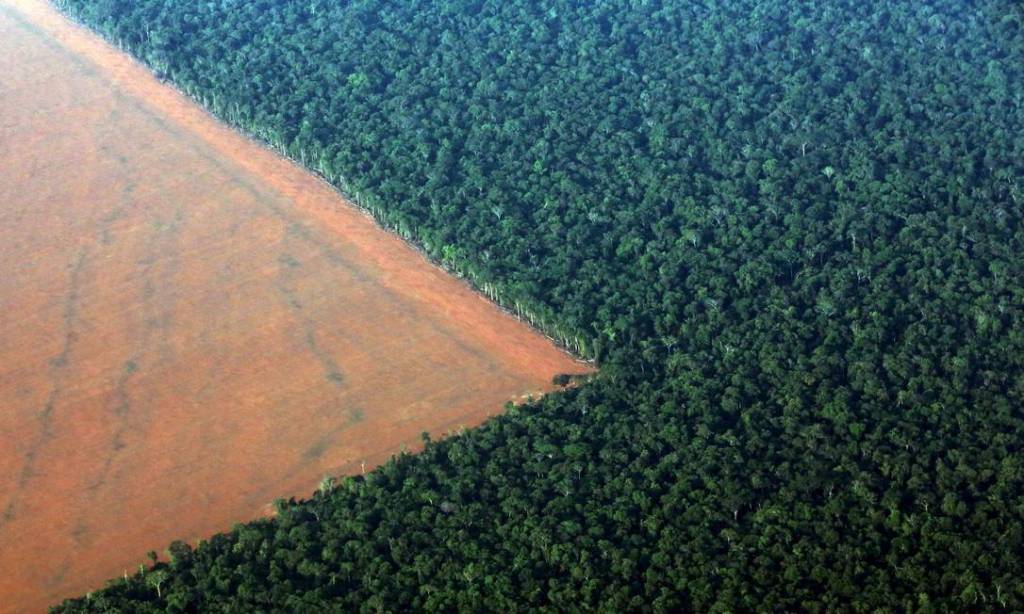 x74212639_REFILEREMOVING-RESTRICTIONSFILE-PHOTO-The-Amazon-rain-forest-R-bordered-by-defore.jpg.pagespeed.ic.sg-93MD3Mc x74212639_REFILEREMOVING-RESTRICTIONSFILE-PHOTO-The-Amazon-rain-forest-R-bordered-by-defore.jpg.pagespeed.ic.sg-93MD3Mc