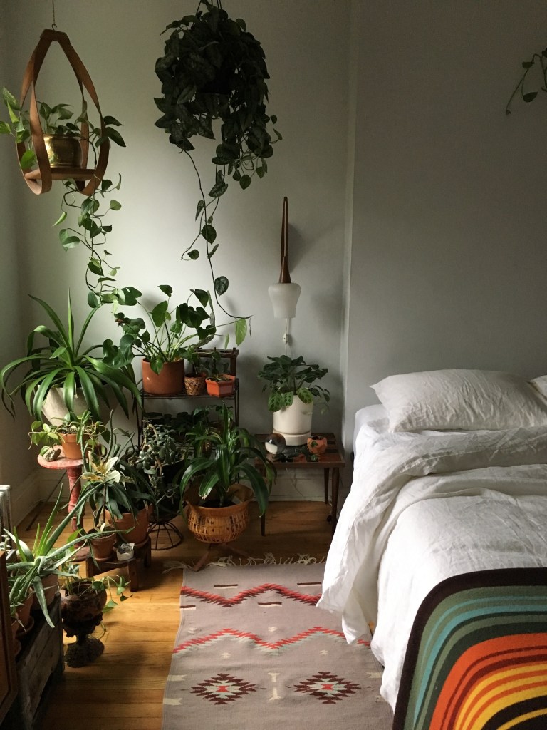 Plantas no quarto: 8 ideias para dormir perto da natureza