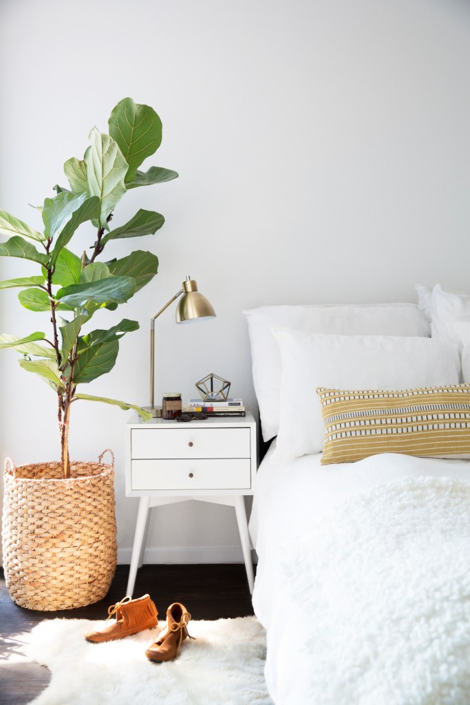 Plantas no quarto: 8 ideias para dormir perto da natureza
