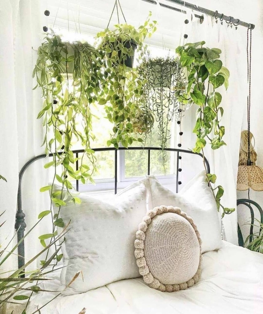 Plantas no quarto: 8 ideias para dormir perto da natureza | CASA.COM.BR