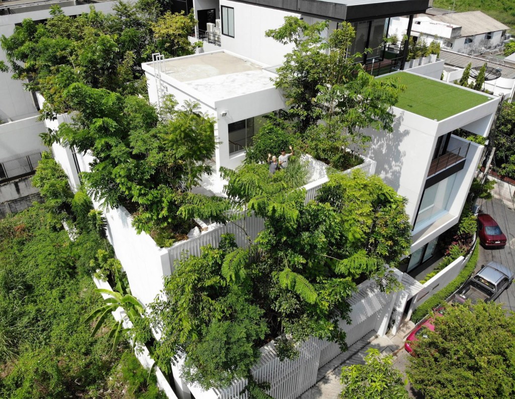 Casa com 120 árvores distribuídas pelo terreno e pavimentos