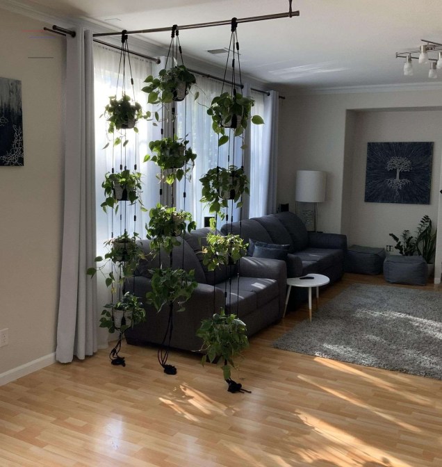 Este suporte com plantas suspensas formou uma divisão entre os ambientes sem prejudicar a luminosidade da casa.