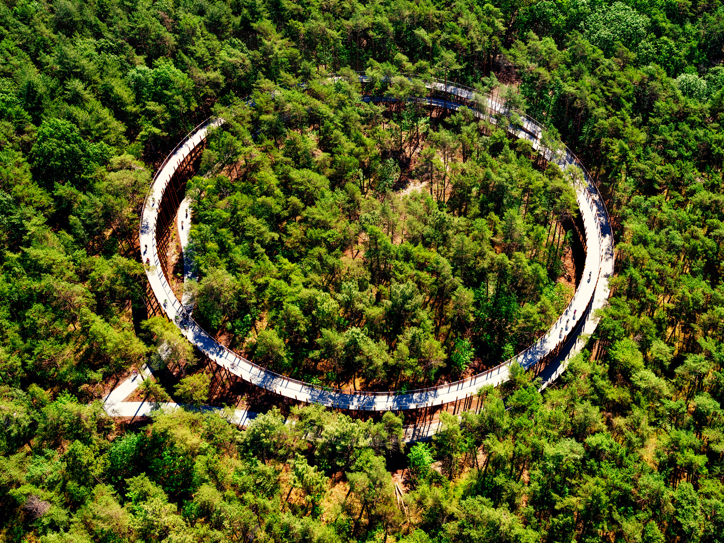 Ciclovia em meio à floresta na Bélgica propõe um encontro com a natureza