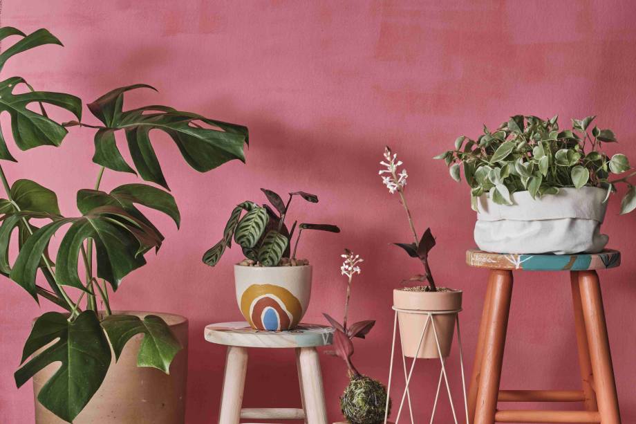 Plantinhas do Atelier Colorato: folhas e flores em vasos especiais Plantinhas do Atelier Colorato: folhas e flores em vasos especiais