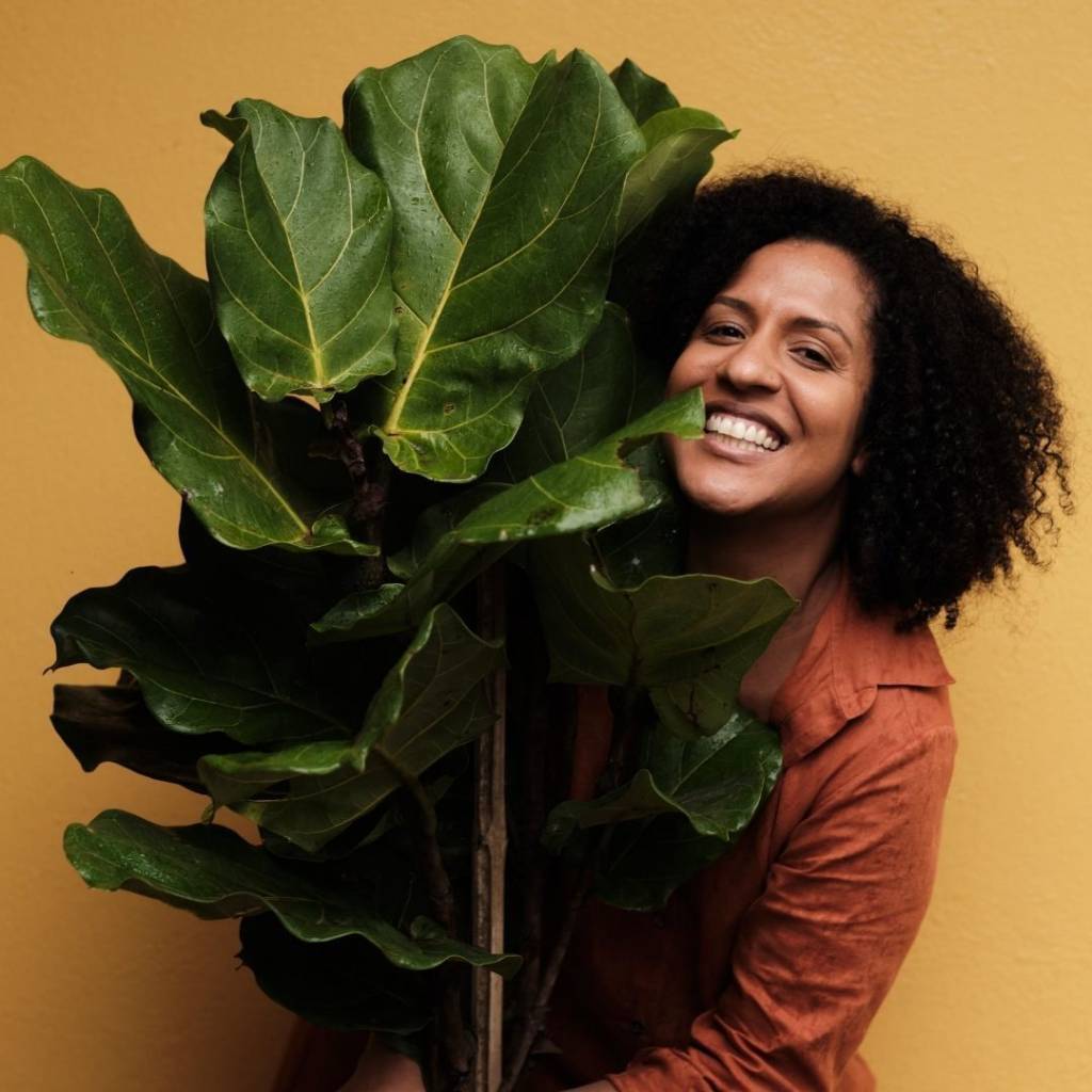 ficus-lyrata-atelier-colorato