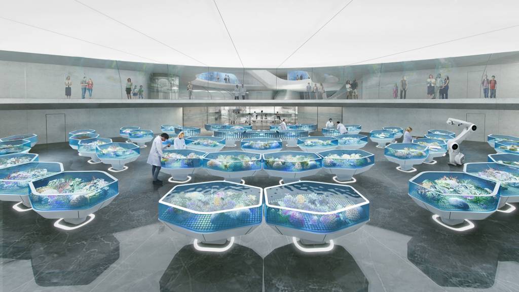 Living-Coral-Biobank-projeto Living-Coral-Biobank-projeto