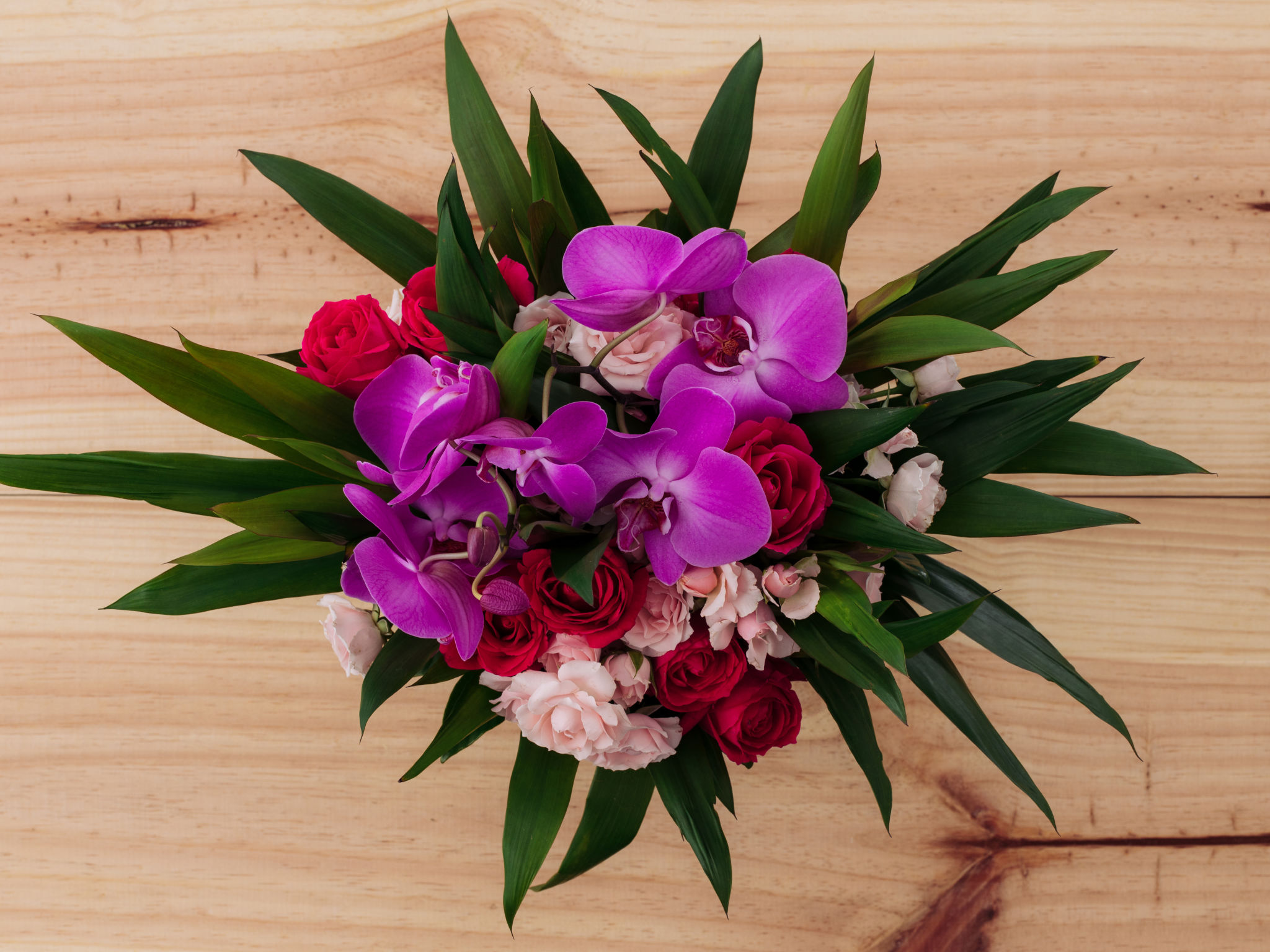 Como cuidar de orquídeas: 4 dicas simples para flores sempre bonitas |  