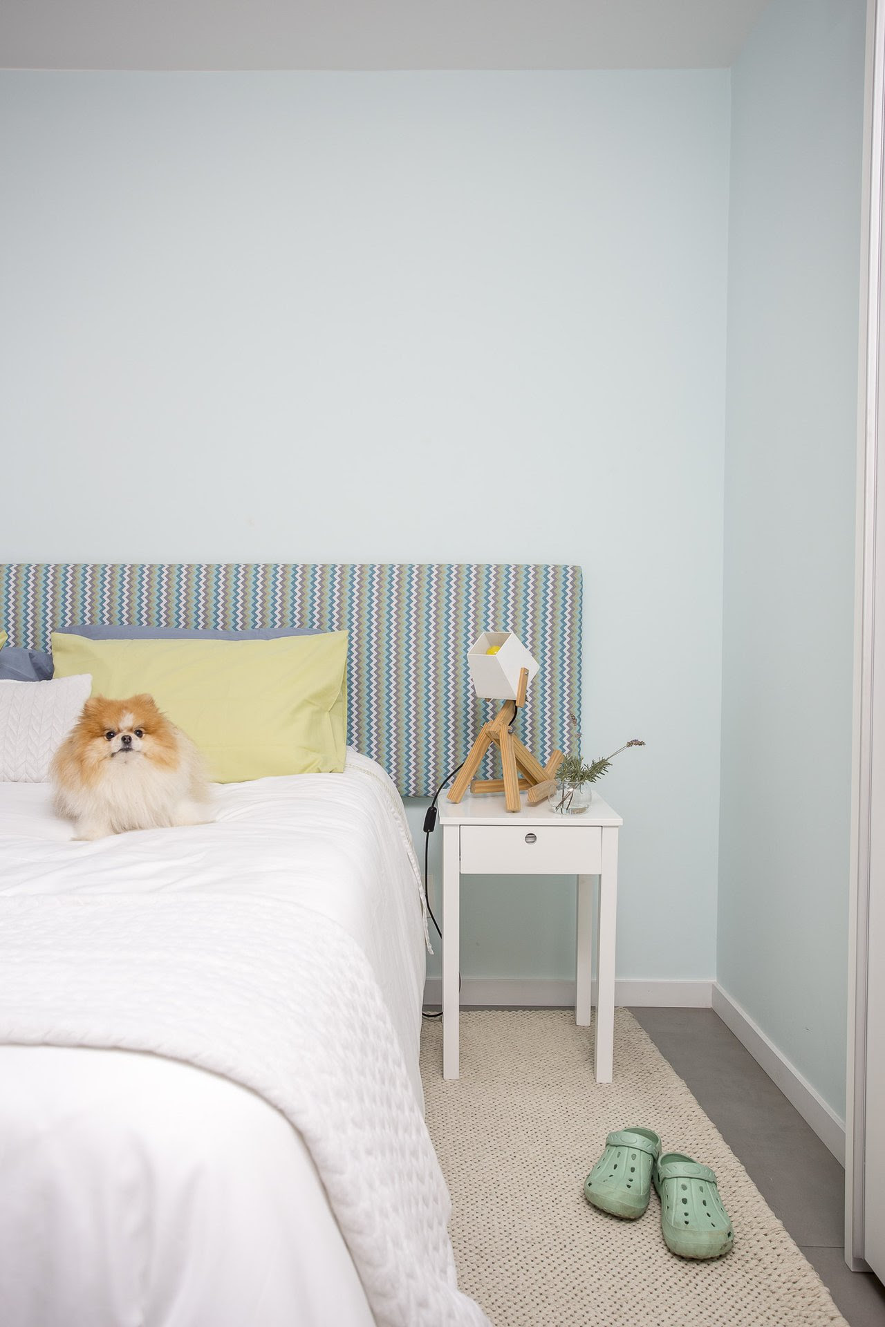 8 dicas essenciais para adaptar a decoração da casa aos pets