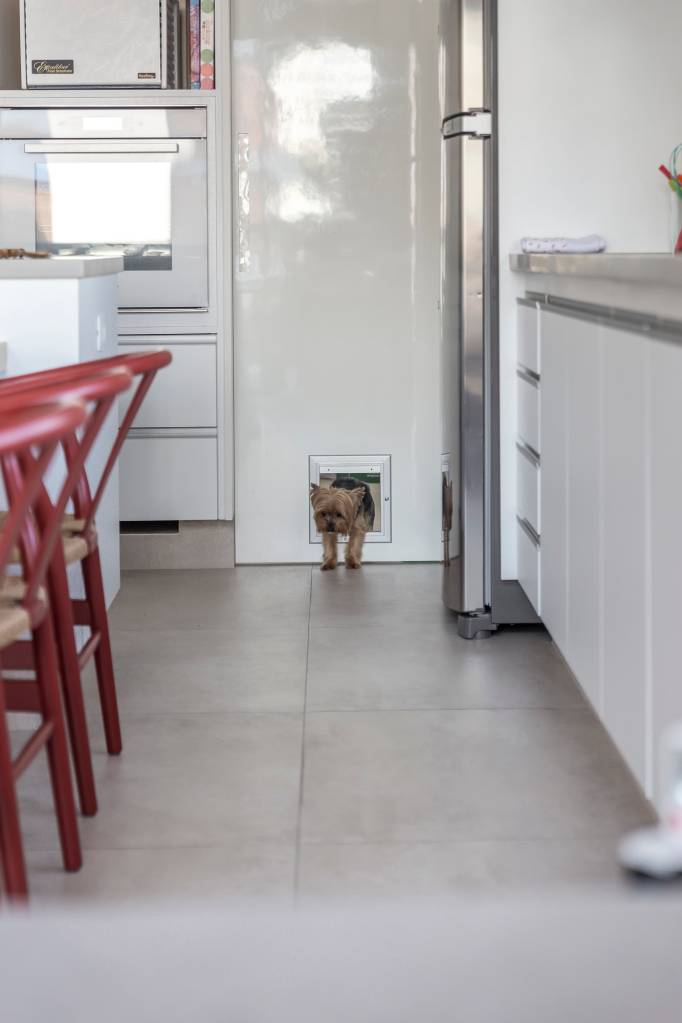 8-dicas-essenciais-para-adaptar-a-decoracao-da-casa-com-bicho-de-estimacao-casa.com