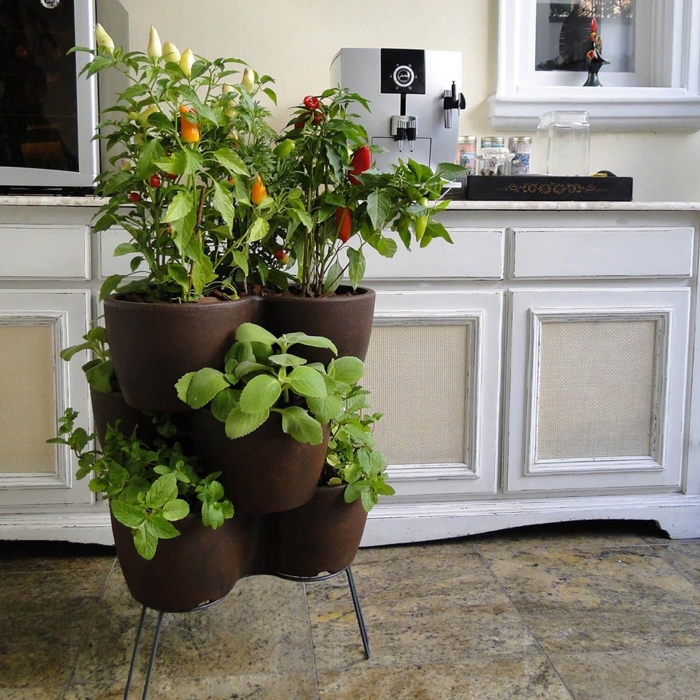 produtos-jardinagem9 produtos-jardinagem9