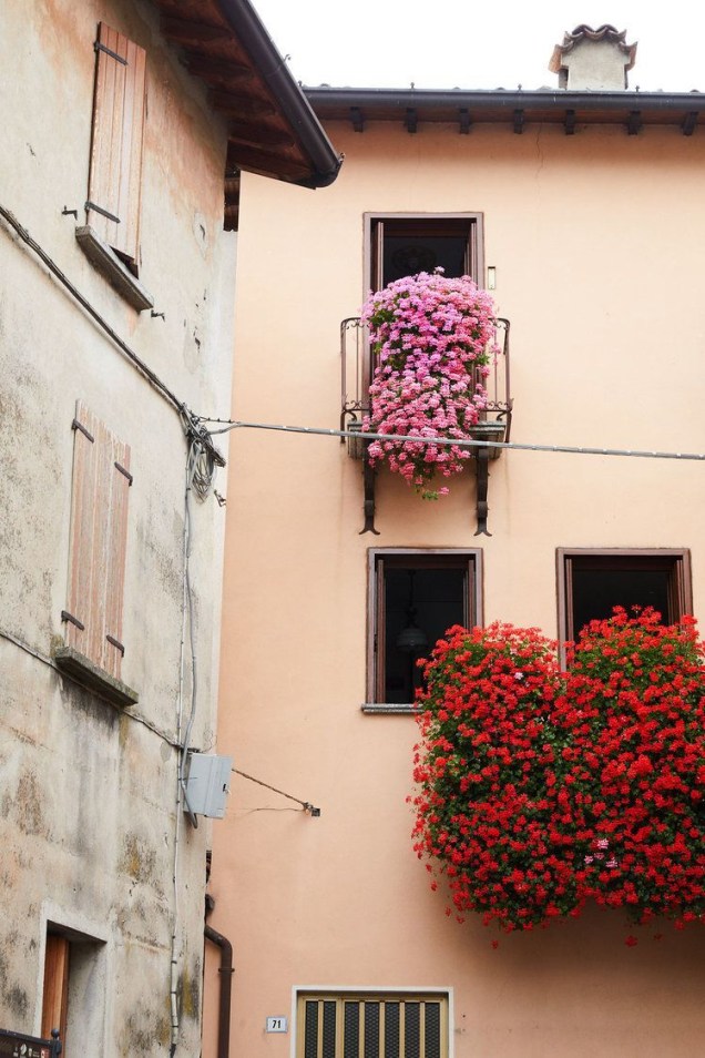 Explore as suas janelas – uma caixinha de janela é uma escolha tradicional para ervas ou flores. Flores de sacada como essas deixaram o bairro inteiro mais bonito. Além disso, elas podem ser ainda mais impressionantes do que uma alternativa no nível do solo, pois a perspectiva vertical traz uma dimensão interessante e inesperada. Explore as suas janelas – uma caixinha de janela é uma escolha tradicional para ervas ou flores. Flores de sacada como essas deixaram o bairro inteiro mais bonito. Além disso, elas podem ser ainda mais impressionantes do que uma alternativa no nível do solo, pois a perspectiva vertical traz uma dimensão interessante e inesperada.