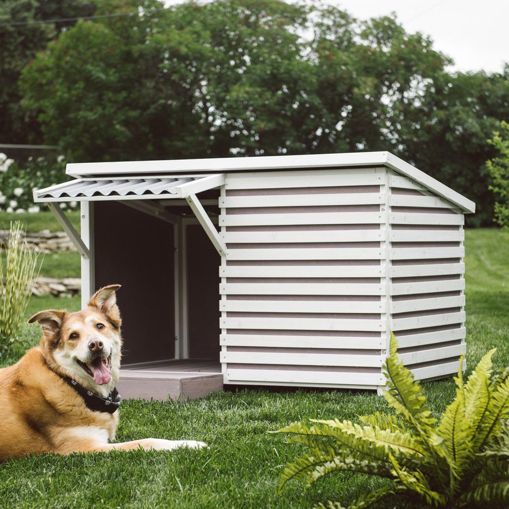 casa de cachorro para cães de porte grande e para espaços externos