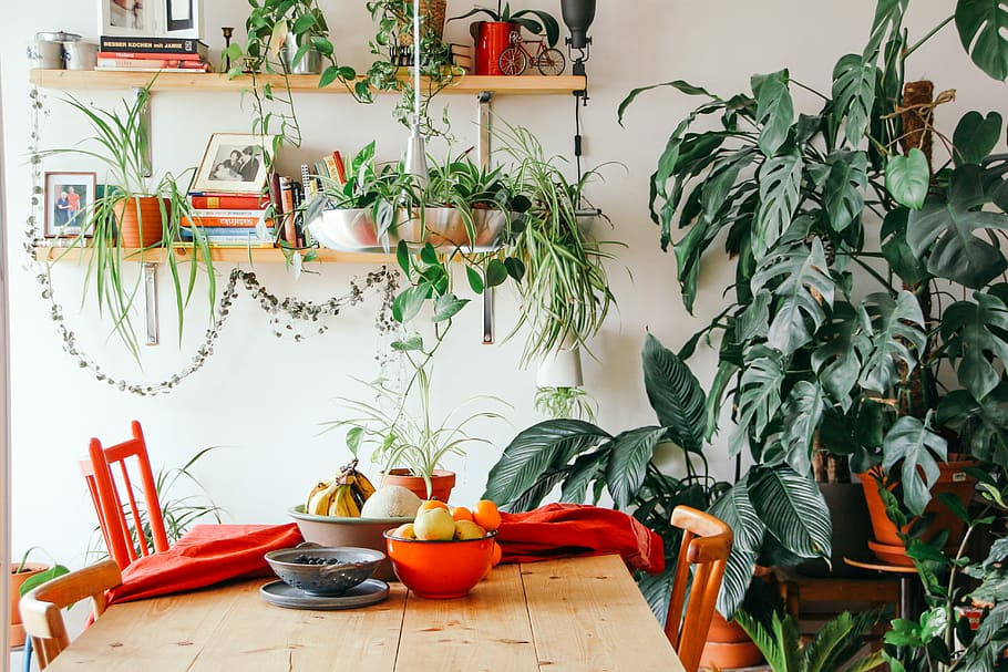 The Art of Modern Rustic Interior