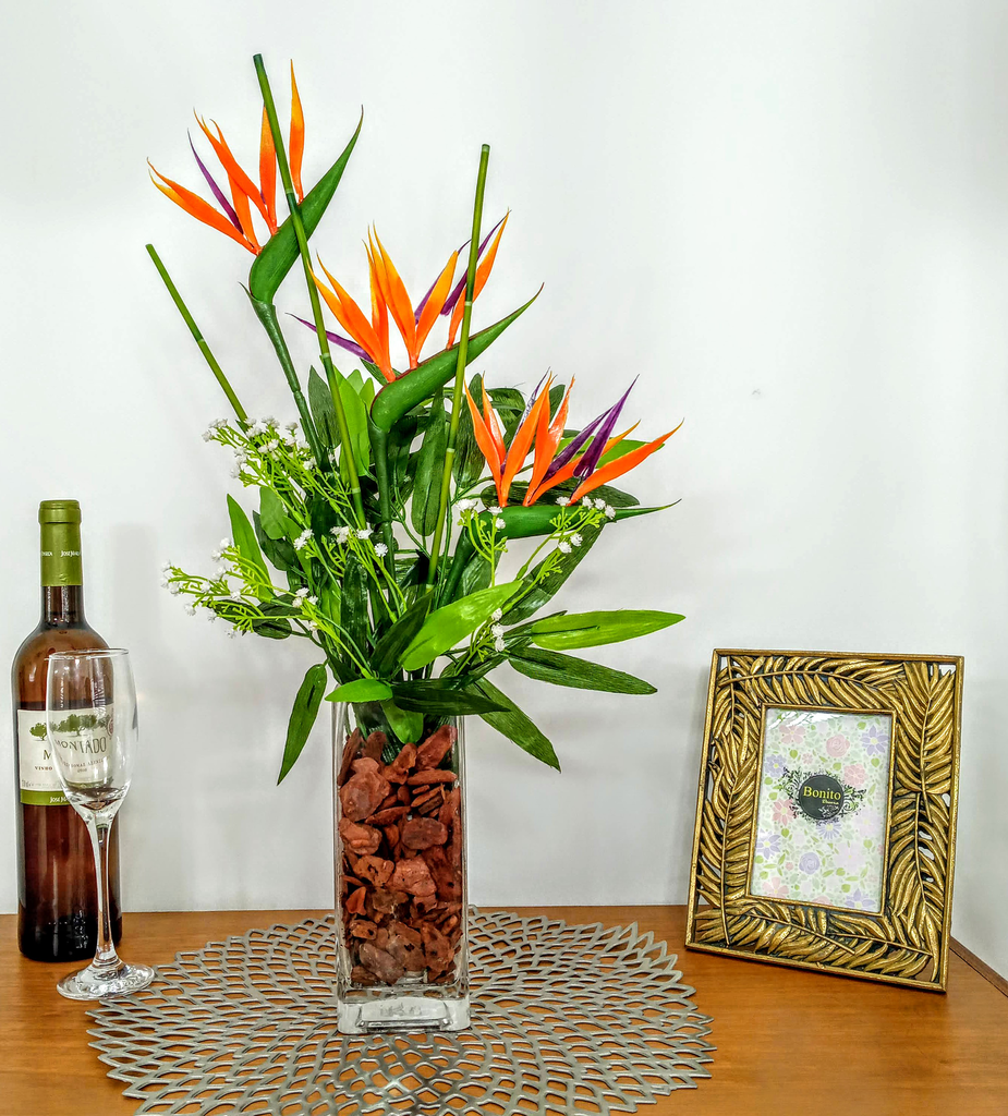 tipos-de-flores-para-decorar-seu-ambiente-casa.com-23-estrelicia