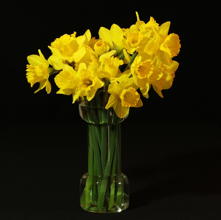 tipos-de-flores-para-decorar-seu-ambiente-casa.com-8-narciso