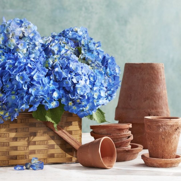 Encha uma cesta de piquenique vintage com flores grandes e exuberantes para criar o arranjo de flores perfeito para seu próximo piquenique no parque ou almoço no quintal