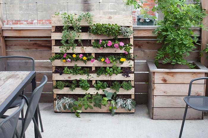 20 ideias para criar um jardim com paletes