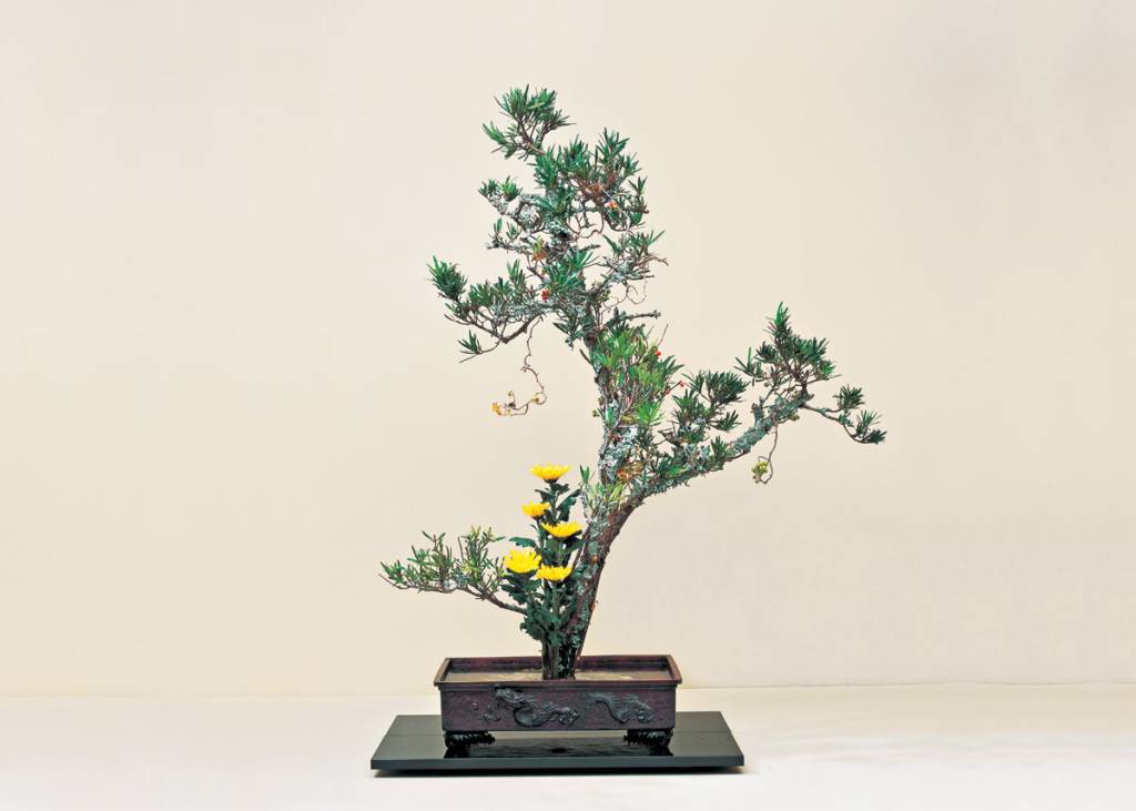 ikebana-Rijksmuseum-09