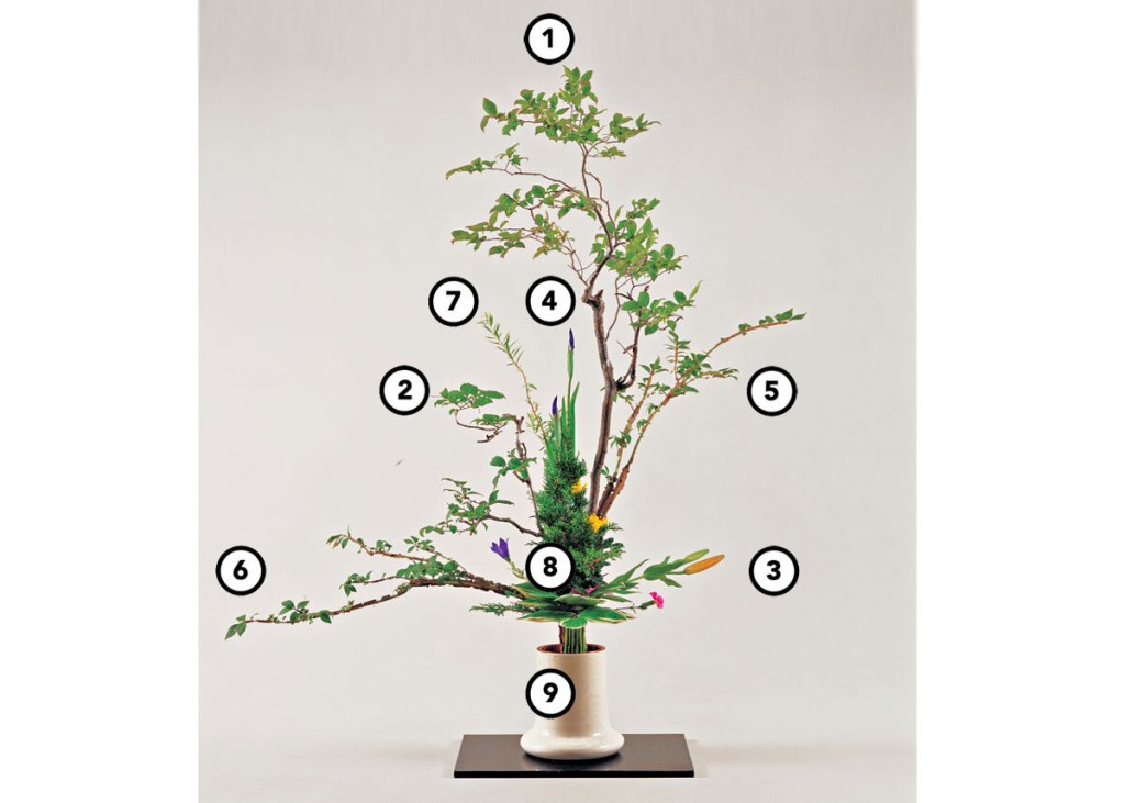 Ikebana com números indicando a posição de cada elemento
