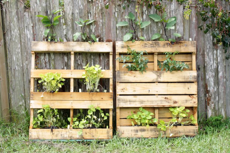 20 ideias para criar um jardim com paletes