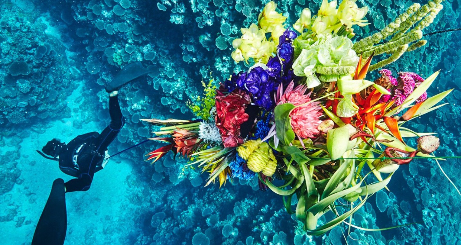 Artista leva flores para os lugares mais remotos, até no espaço!