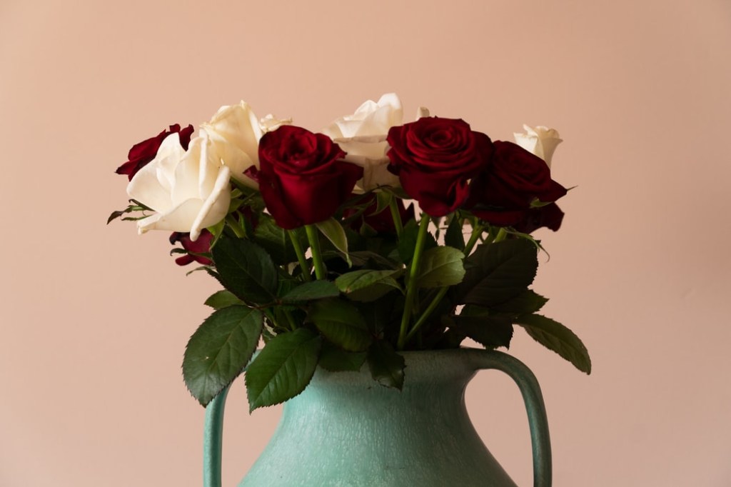 rosas coloridas em um vaso