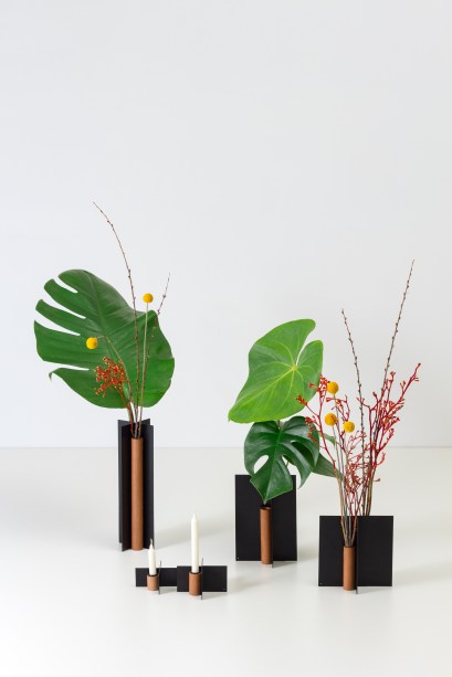 Escolha o vaso ideal para sua planta com estas dicas