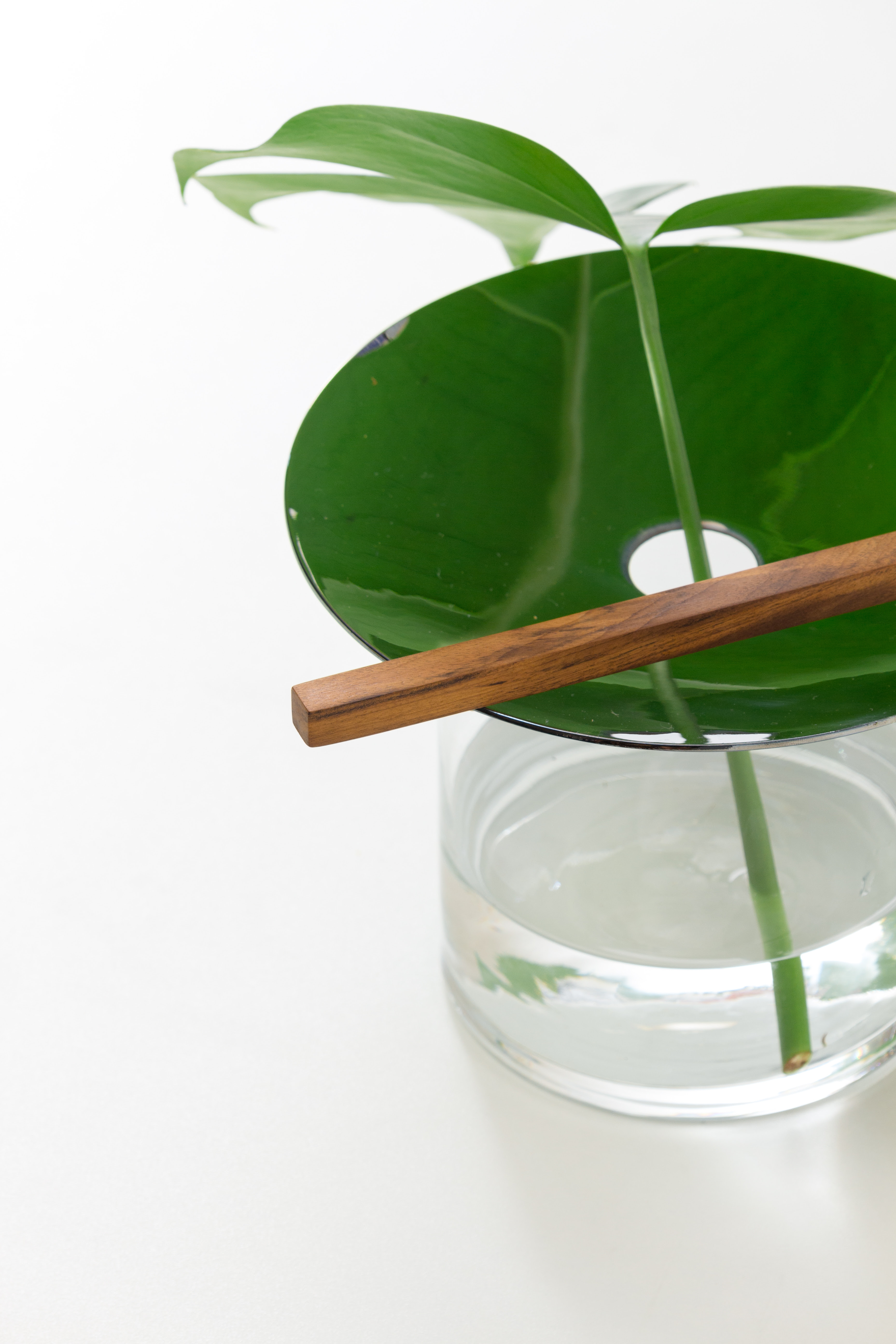 Escolha o vaso ideal para sua planta com estas dicas