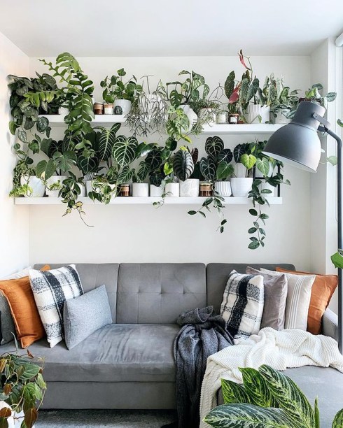 O que é Urban Jungle e como você pode ter o estilo em casa