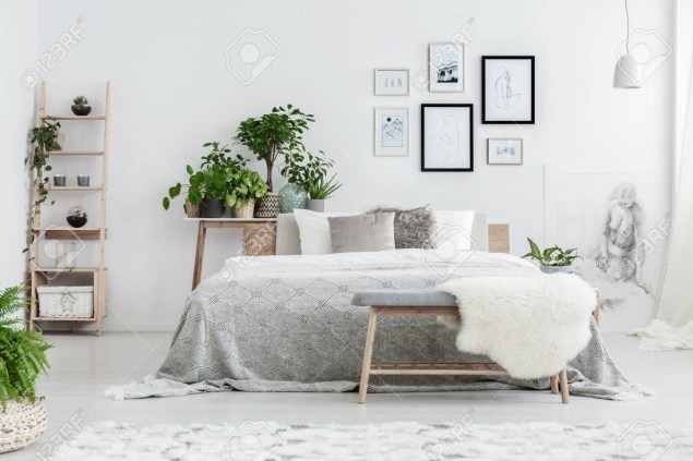 Handmade drawings in frames hanging on the wall in white bedroom with potted plants and wooden decorative ladder