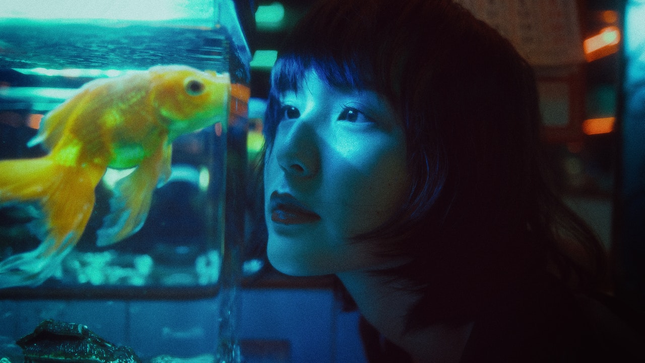 Melhore o Feng Shui da sua casa com um aquário