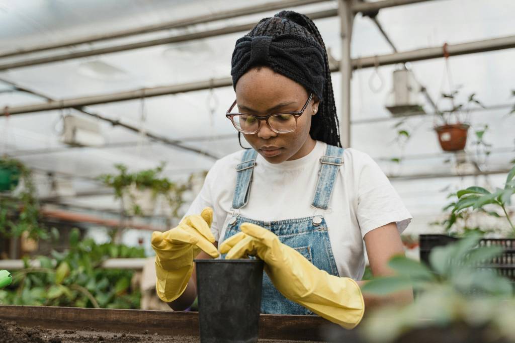 Passo a passo para fertilizar suas plantas