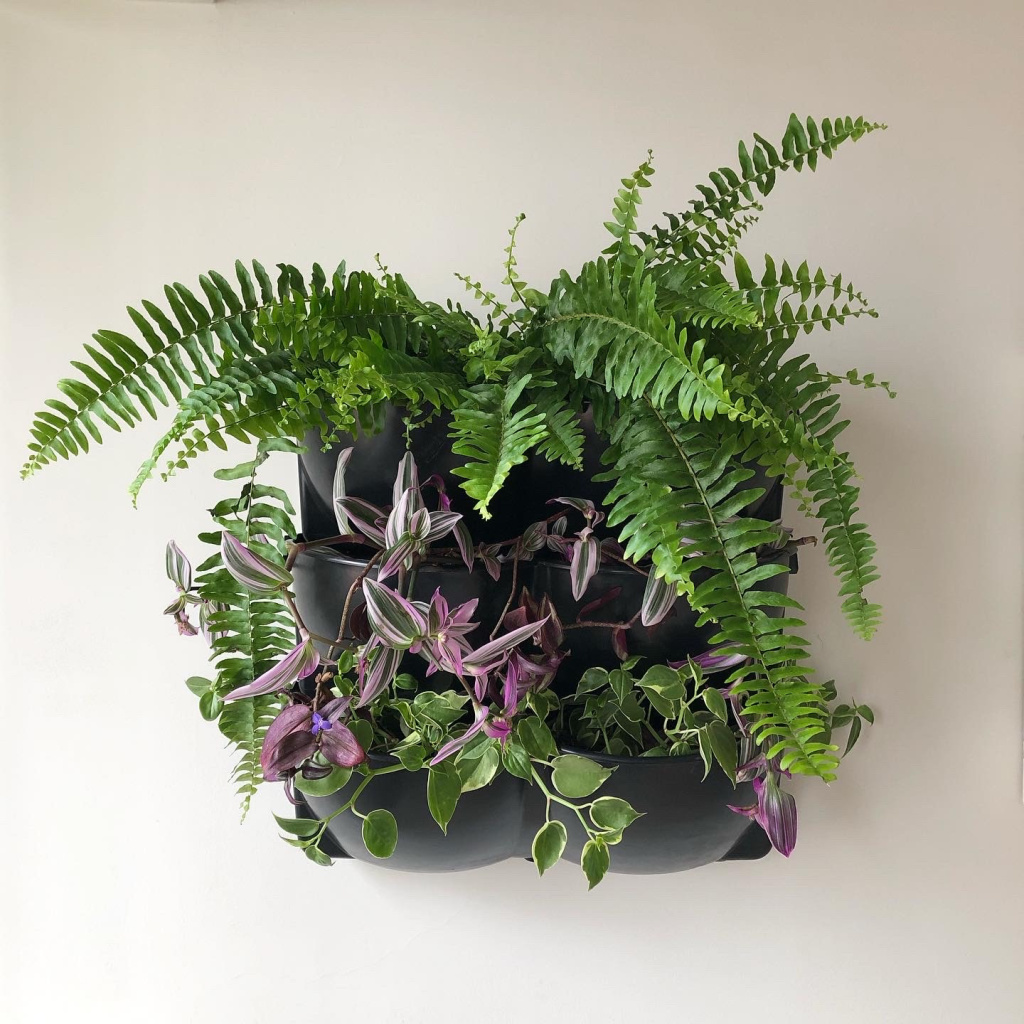 faca-voce-mesmo-jardim-vertical-passo-a-passo-casa.com-5 jardim