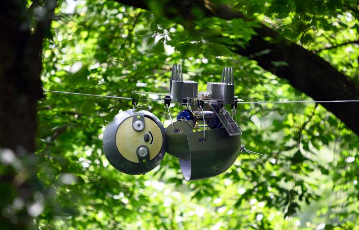 Fofo e ecológico: este robô preguiça ajuda na conservação de florestas