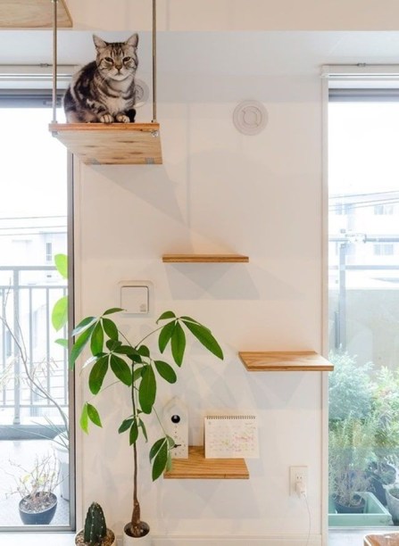 Como criar um espaço para o pet em apartamentos pequenos