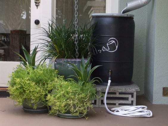 Como construir uma cisterna para aproveitar a água da chuva